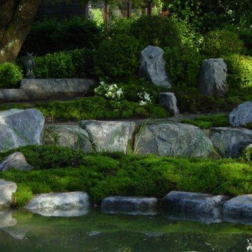 Japanischer Teichgarten im Südschwarzwald