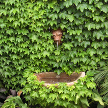 Garden Landscaping