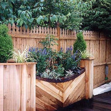 Landscape Ideas