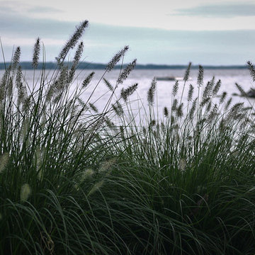Gardens 4