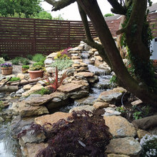 Backyard water designs