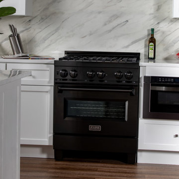 ZLINE Black Stainless Steel Professional Ranges