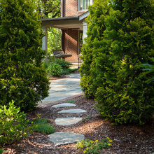 Screen Hedges