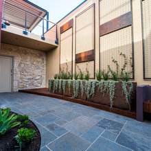 Steel Trellis