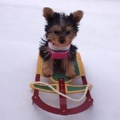 Nanci Janssen's photo
