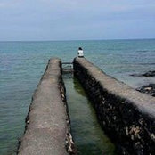 Rohini Diazs foto