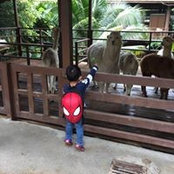 Foto von Syasya Ismail