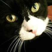 Stephanie Smith's photo