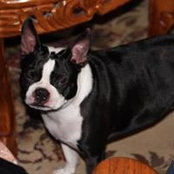 Felton Hall's photo