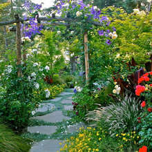 Patio Ideas