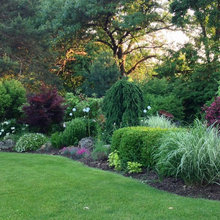 Side Yard
