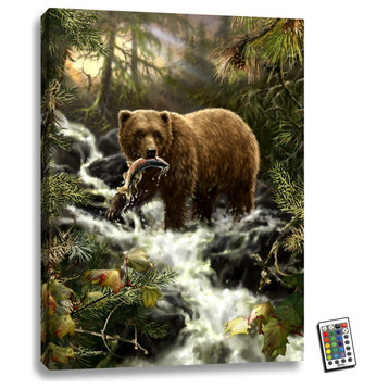 "Grizzly Gorge" 18x24 Fully Illuminated LED Wall Art