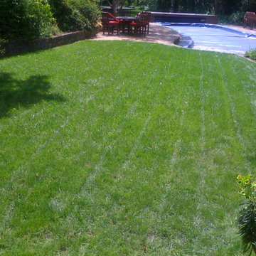 Lawn Restoration