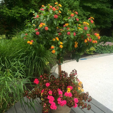 Spring/Summer Planters