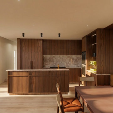 Annandale Residence (inner-west Sydney)