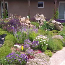 front yard