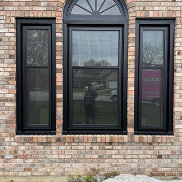 Replacement Windows