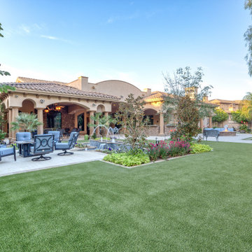 An Oasis Hidden in the Desert in Chandler