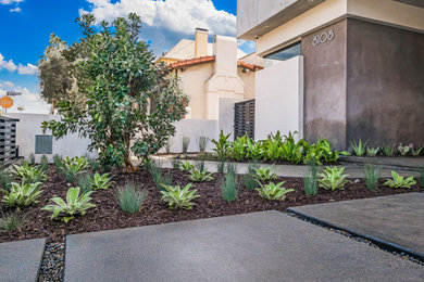 Inspiration for a mid-sized contemporary drought-tolerant and partial sun front yard concrete paver landscaping in Los Angeles.