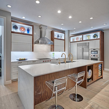Modern Walnut Wrapped Gallery Kitchen
