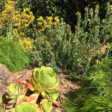 Planting Design
