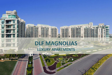 Luxury Apartment - DLF Magnolias, Gurgaon (Interior Fit Outs)