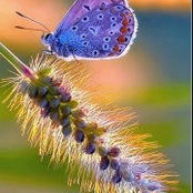 Carrie Larson's photo
