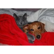 Daniela Wells's photo