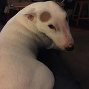 Kristan Lassiter's photo