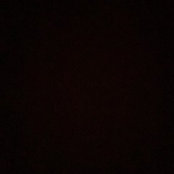 TK Cronin's photo