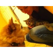 Daniela Price's photo