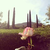 Gua Mi's photo