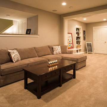 Basement Remodel -Parker CO