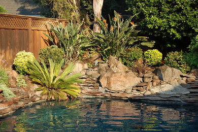 Inspiration for a contemporary landscaping in San Francisco.