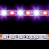 RGBA 5050 ColorPlus LED Strip Light 60/m 12mm wide 5m Reel