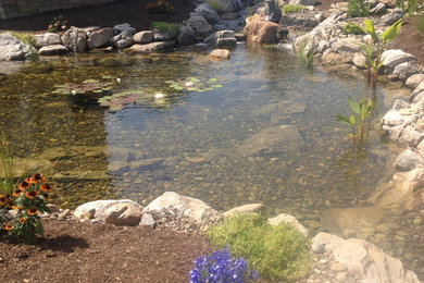 Eco-System Ponds