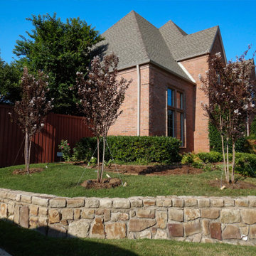 Flowering Trees & Shrubs