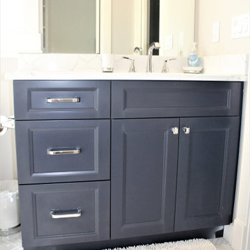 Showplace EVO Main & Guest Bathrooms in Edgewater Downing Slate & Hale Navy