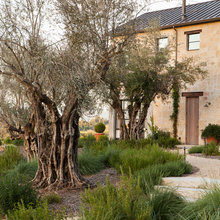 Fire features