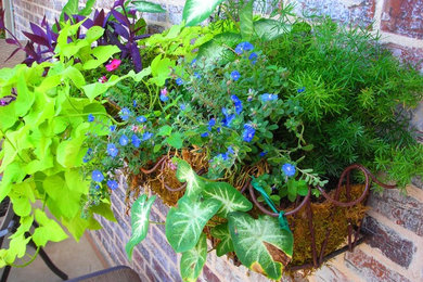 Design ideas for an eclectic landscaping in Dallas.