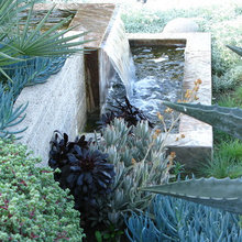 Landscape Ideas