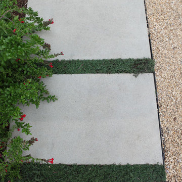 Island Snapdragon, Concrete Pavers, Gravel