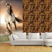 Patterns and Panels