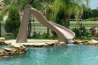 Pool - tropical pool idea in Tampa