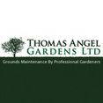 Thomas Angel Gardens Ltd's profile photo