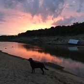 Kim Broderick's photo