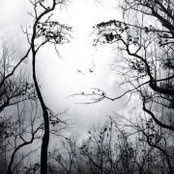Donna Rays foto