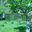 Greenstone Design UK Ltd