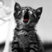 Jillian Blackbeard's photo