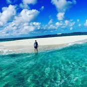 Foto von Bruce Hyde